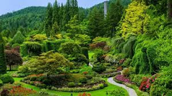 Зеленый мир в гармонии с природой.